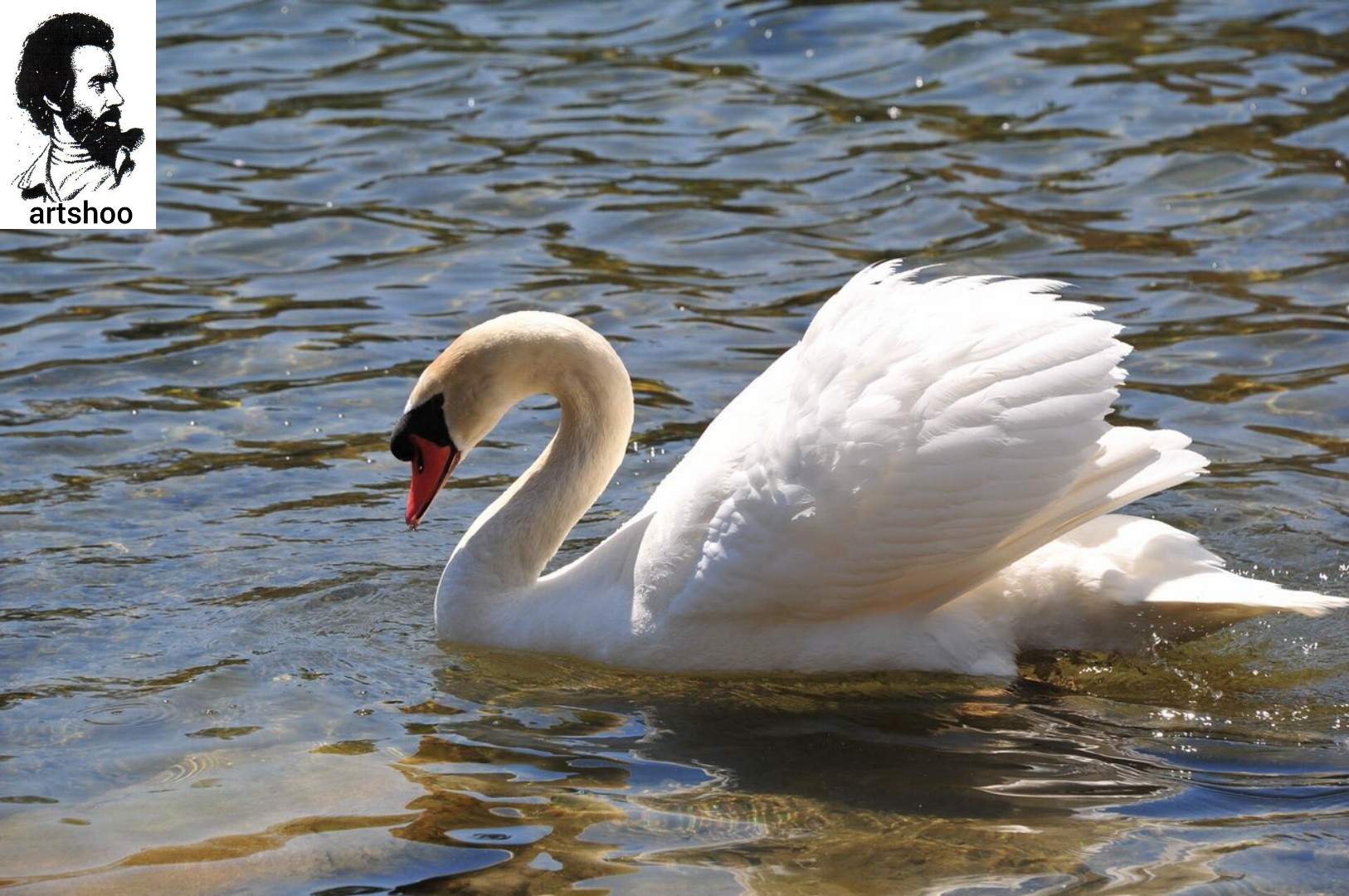 مدل رنگ روغن آب اورژینال