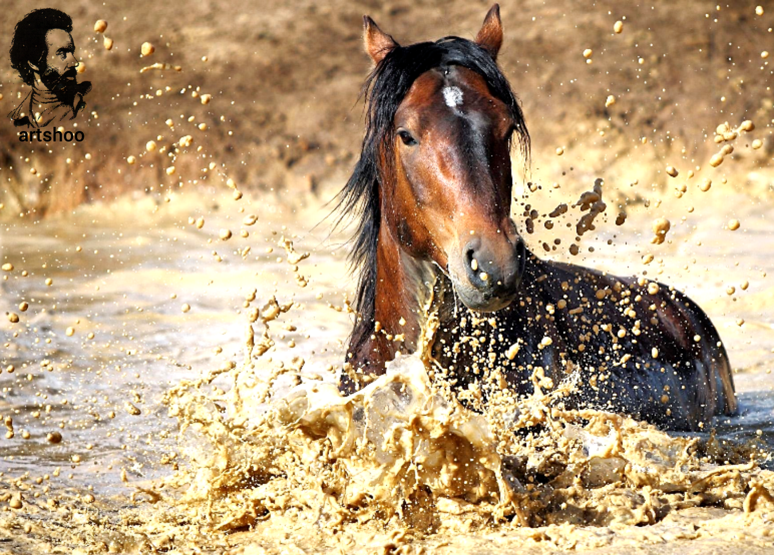 مدل نقاشی رنگ روغن آب