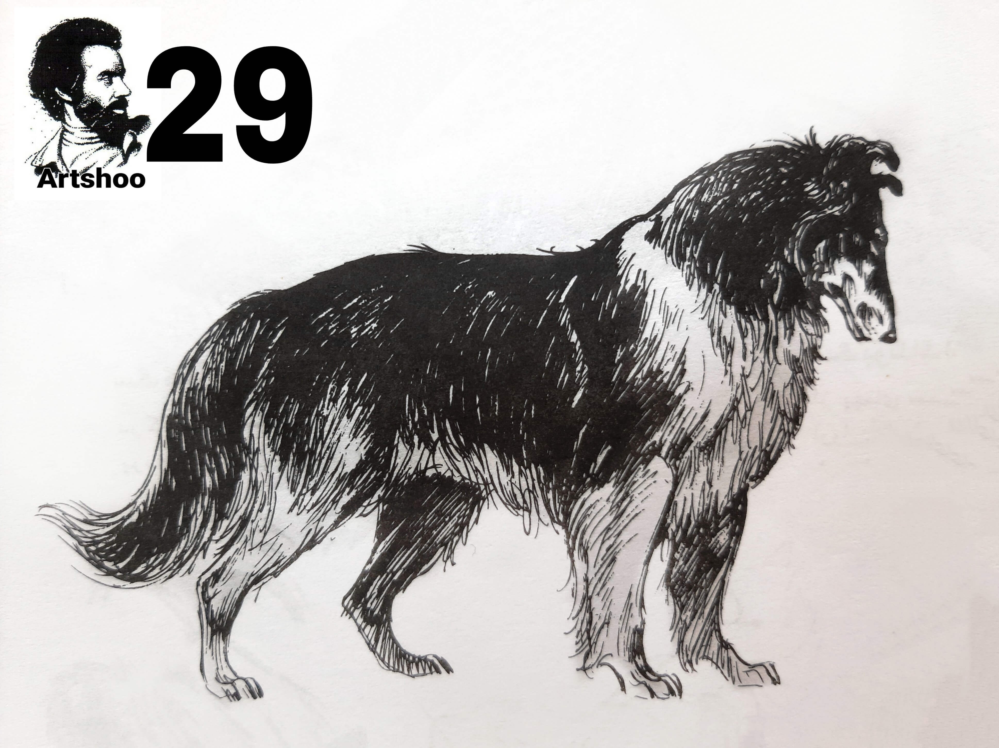 آموزش نقاشی سیاه قلم شهرری