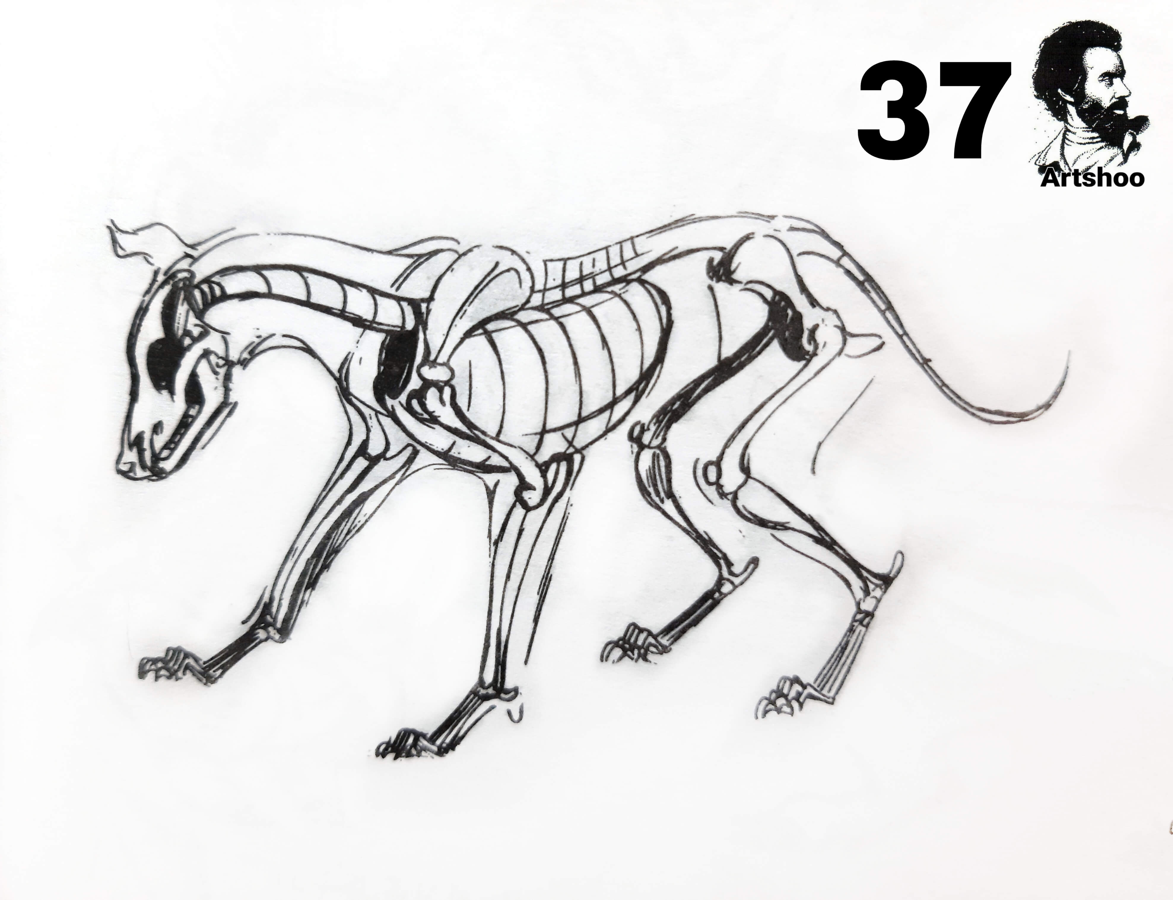 آموزش نقاشی سیاه قلم شهرری