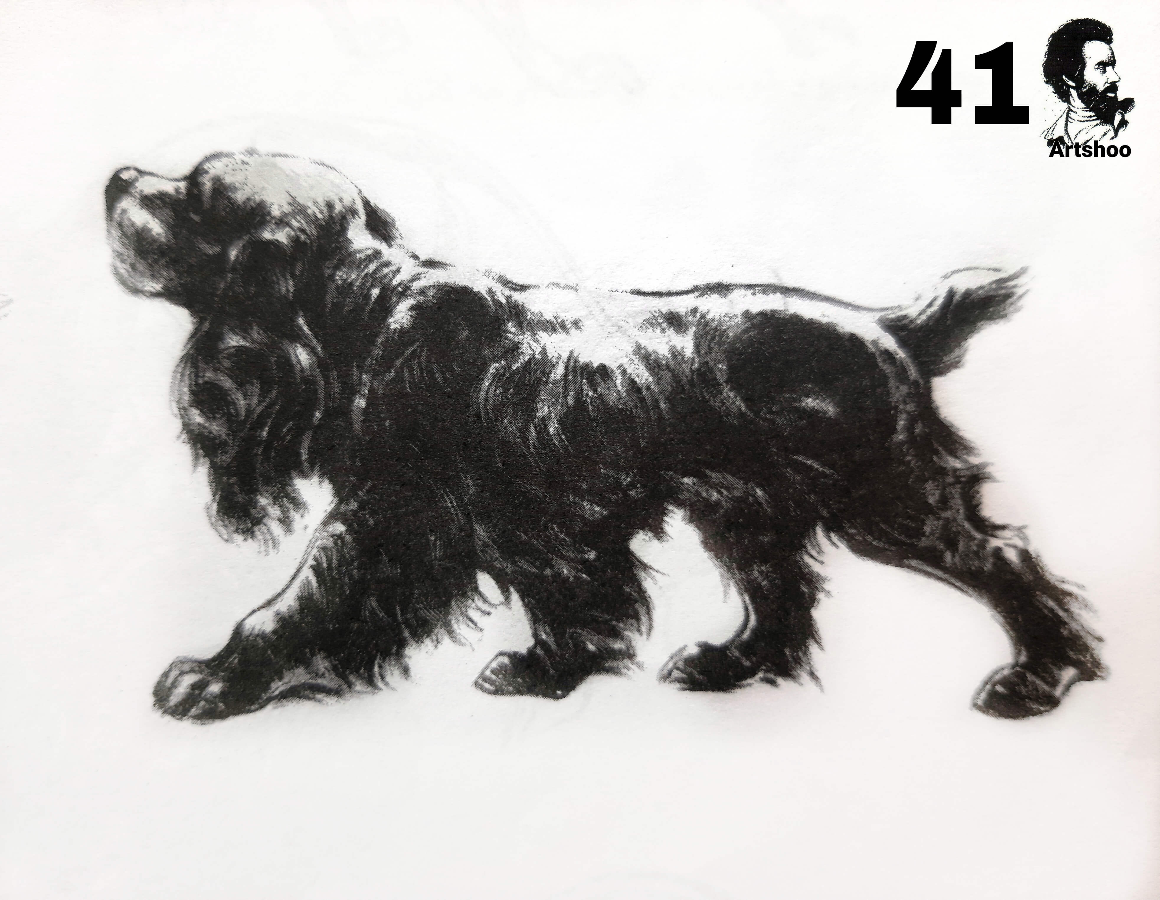 آموزش نقاشی سیاه قلم شهرری