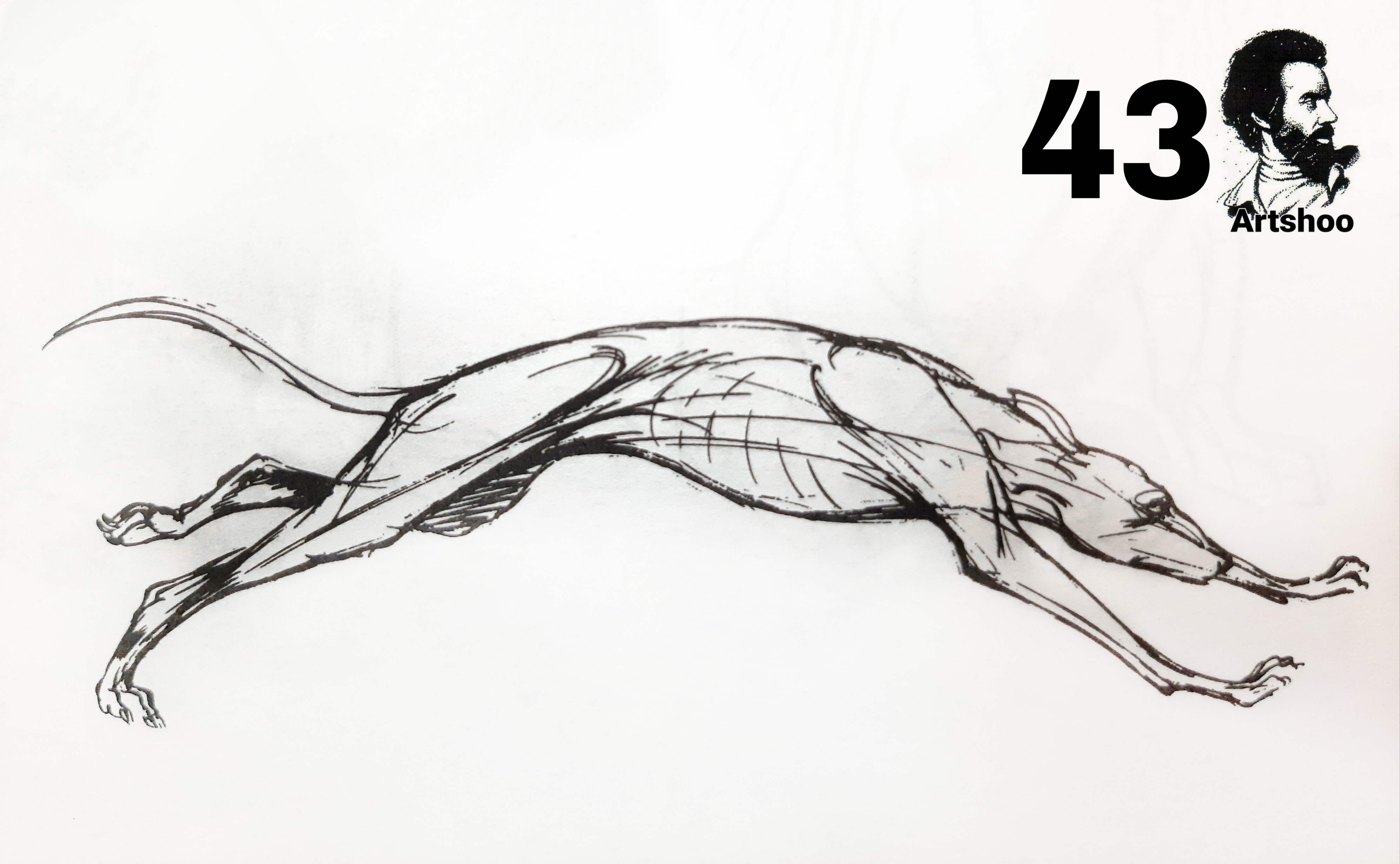 آموزش نقاشی سیاه قلم شهرری