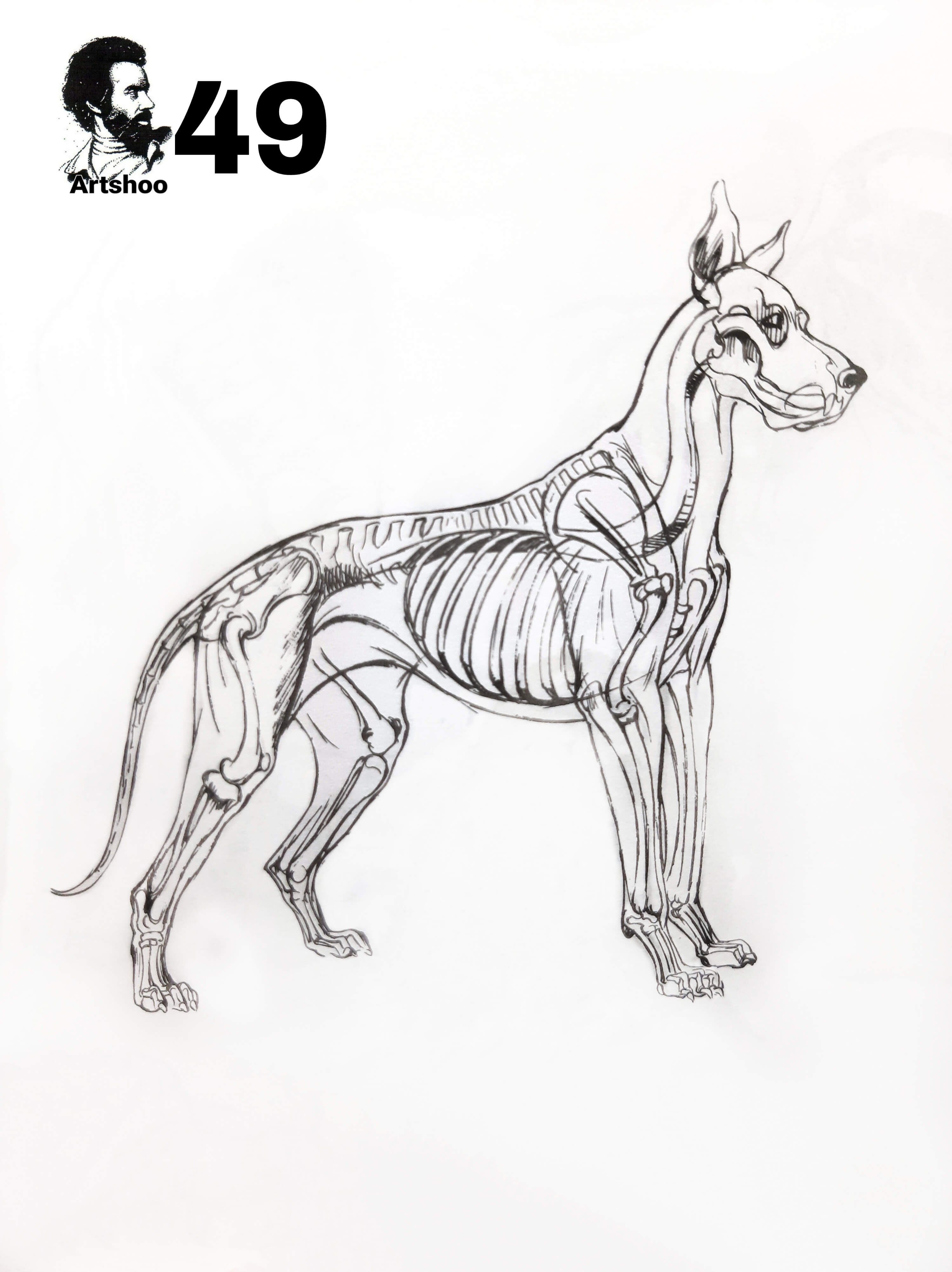 آموزش نقاشی سیاه قلم شهرری