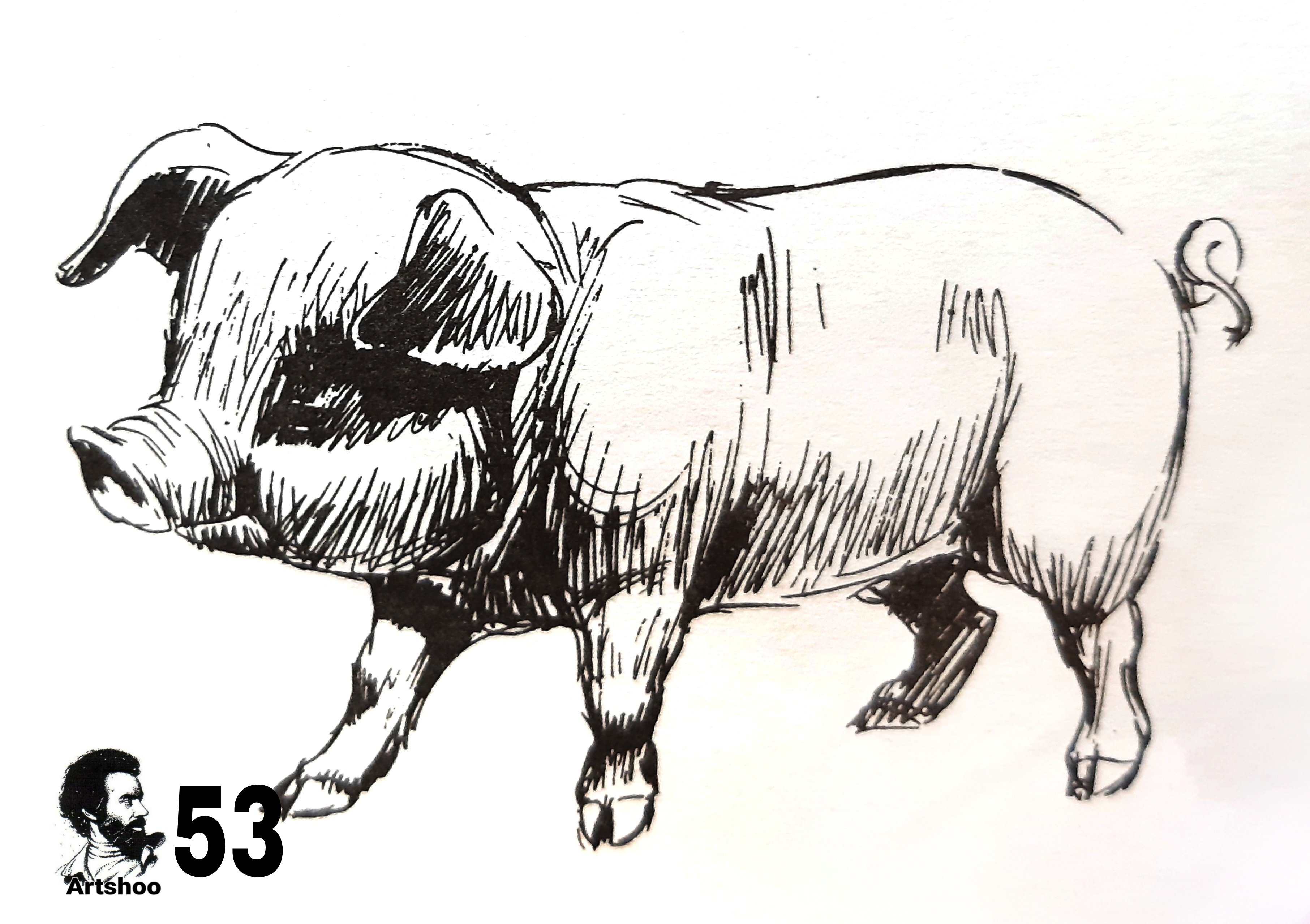 آموزش نقاشی سیاه قلم شهرری