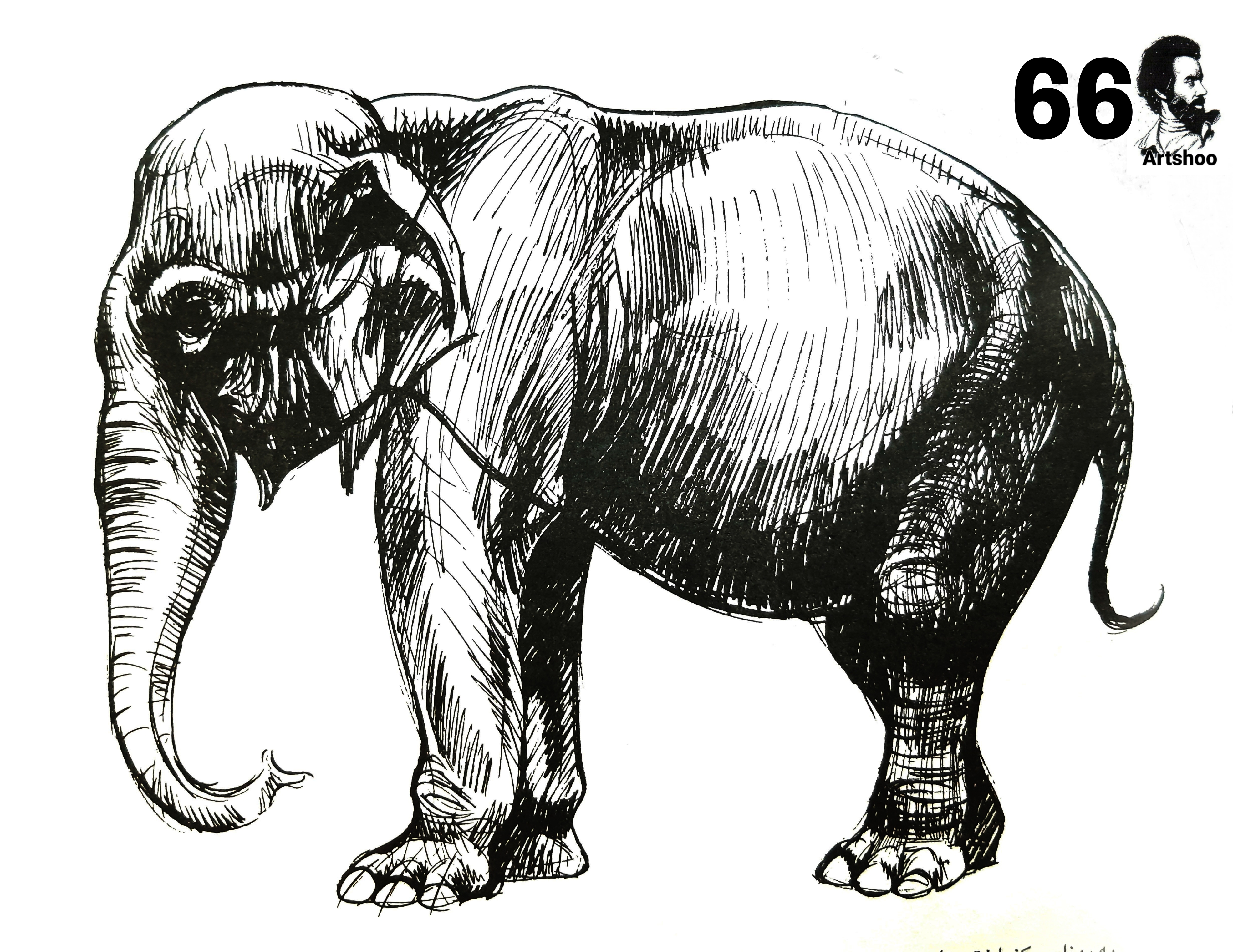 آموزش نقاشی سیاه قلم شهرری