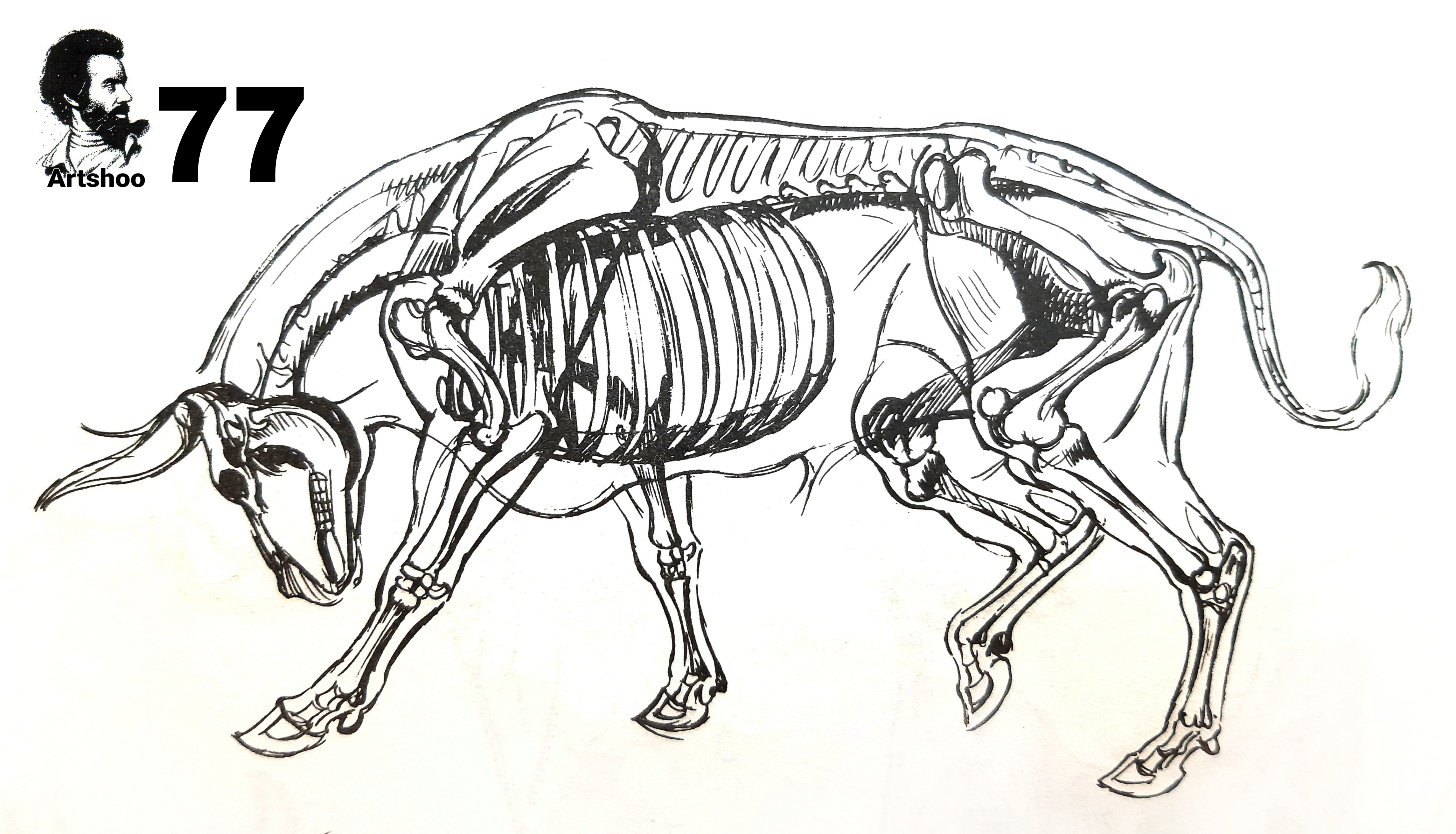آموزش نقاشی سیاه قلم شهرری