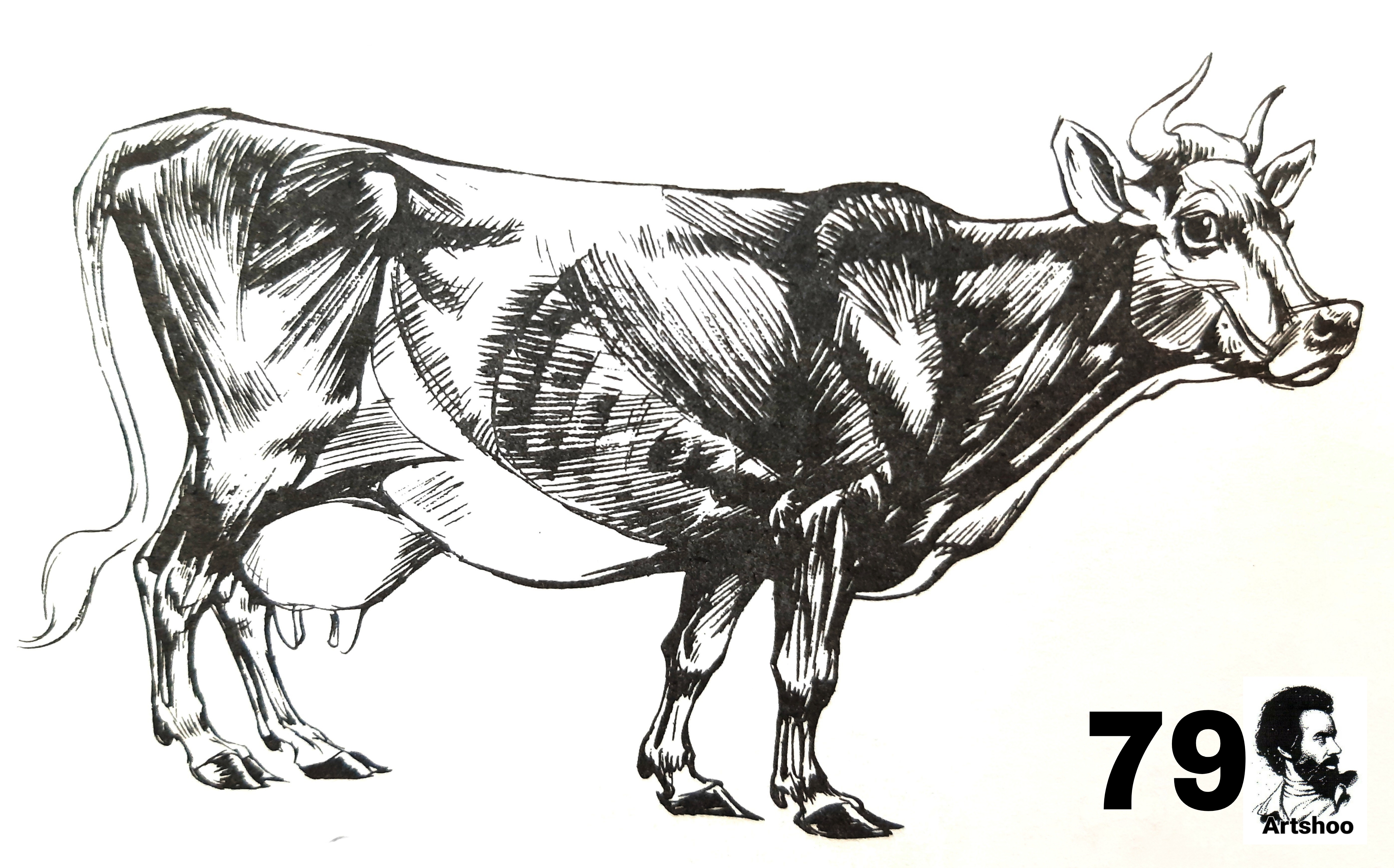 آموزش نقاشی سیاه قلم شهرری