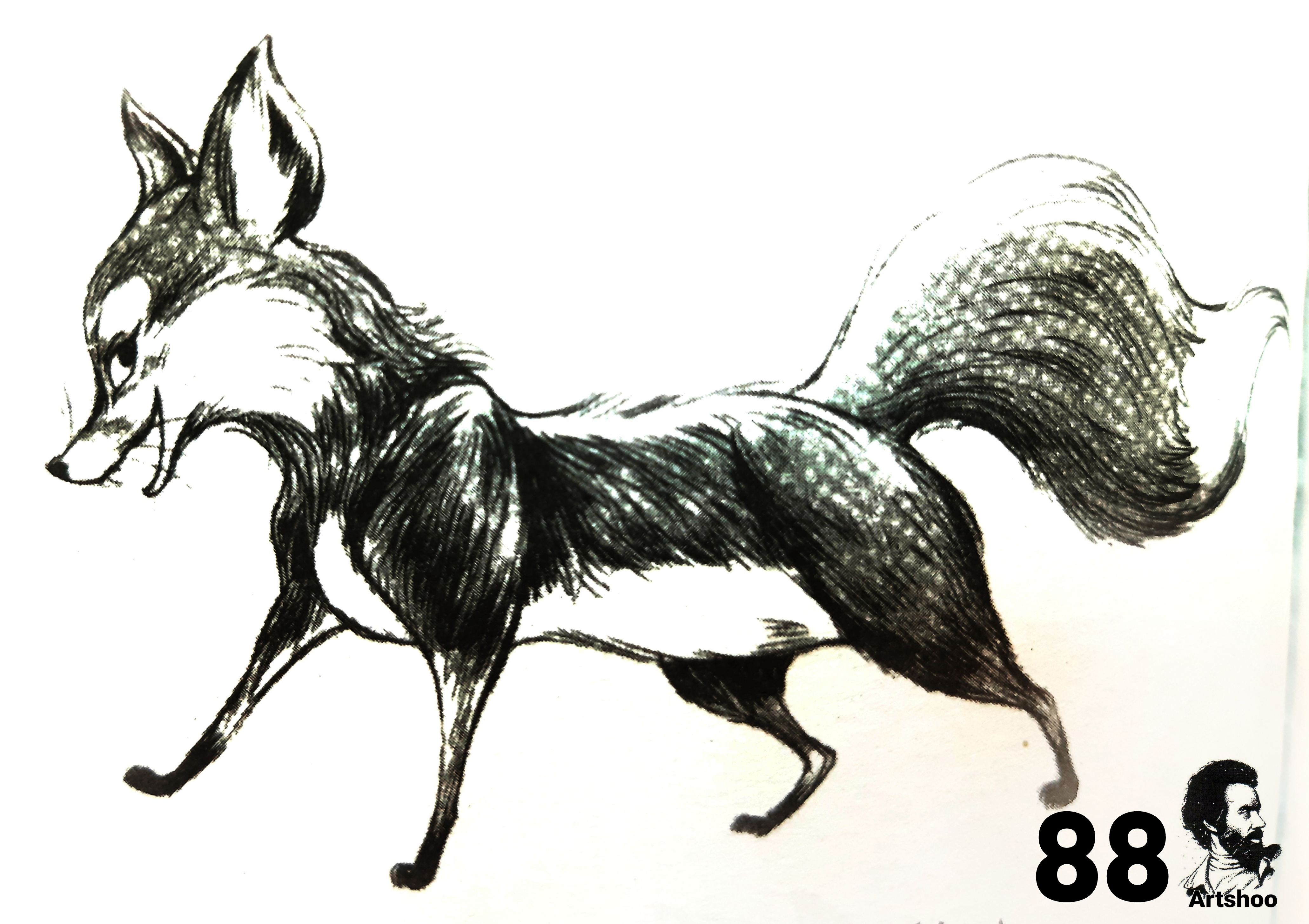 آموزش نقاشی سیاه قلم شهرری