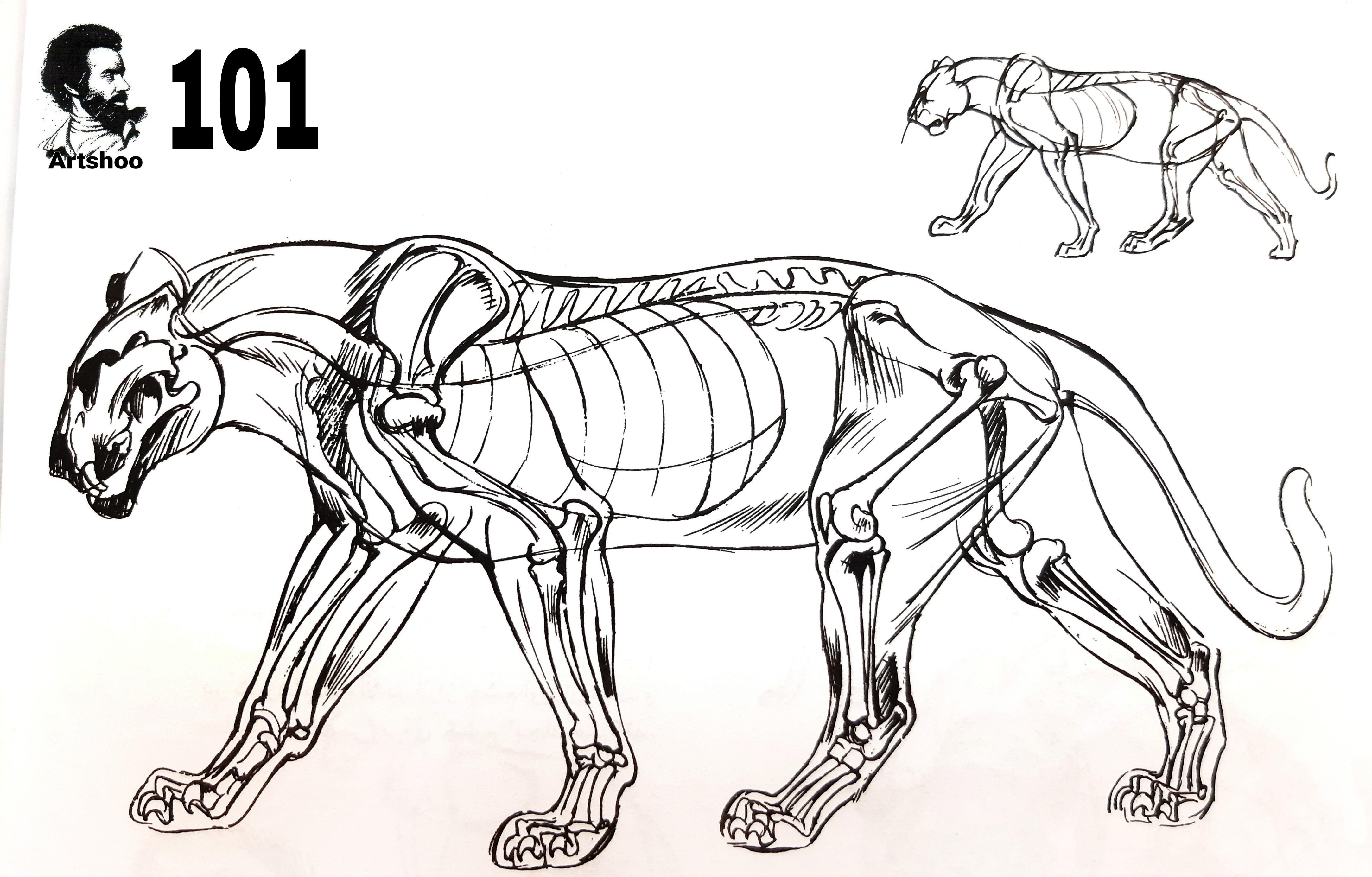 آموزش نقاشی سیاه قلم شهرری