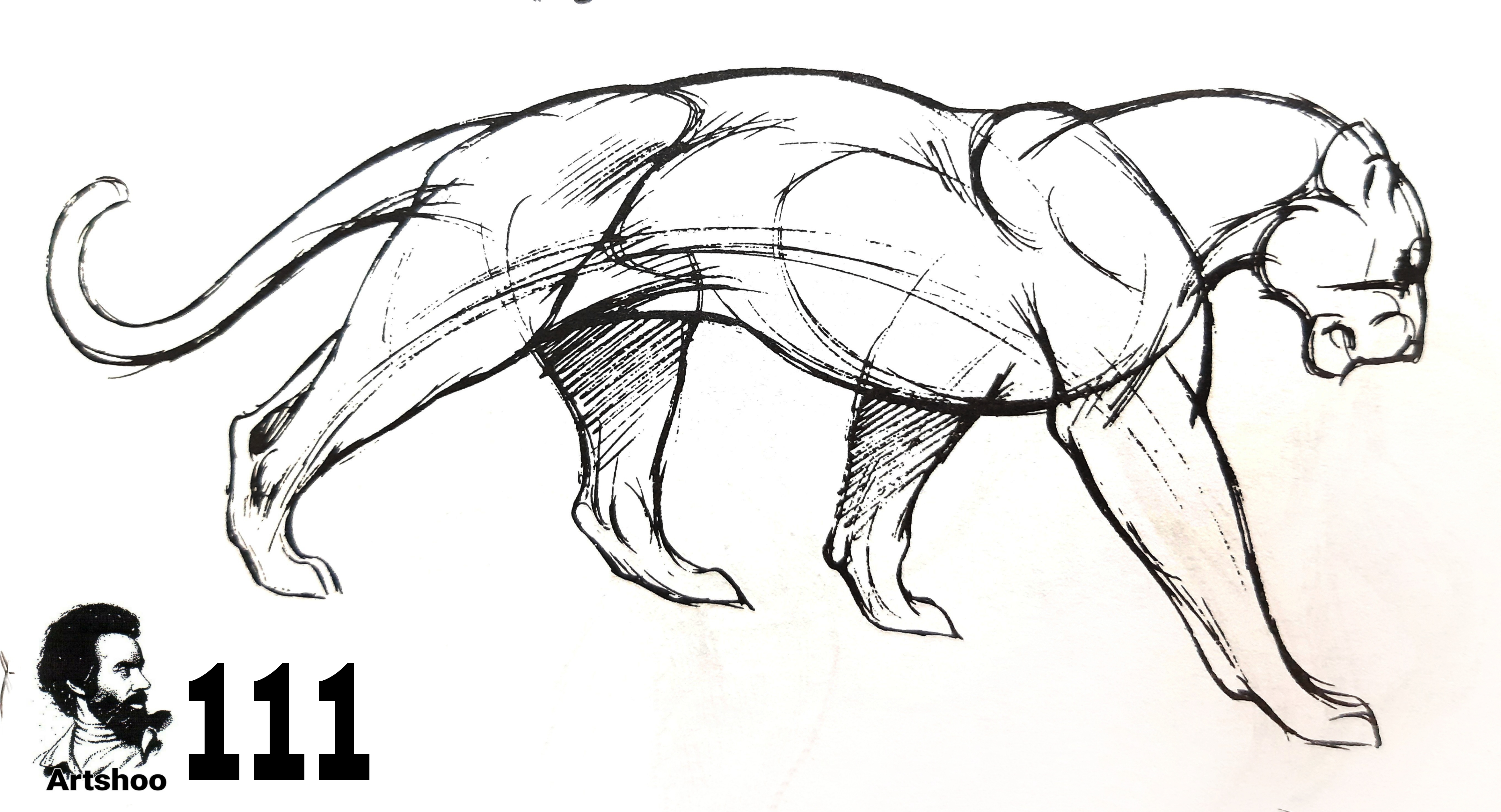 آموزش نقاشی سیاه قلم شهرری