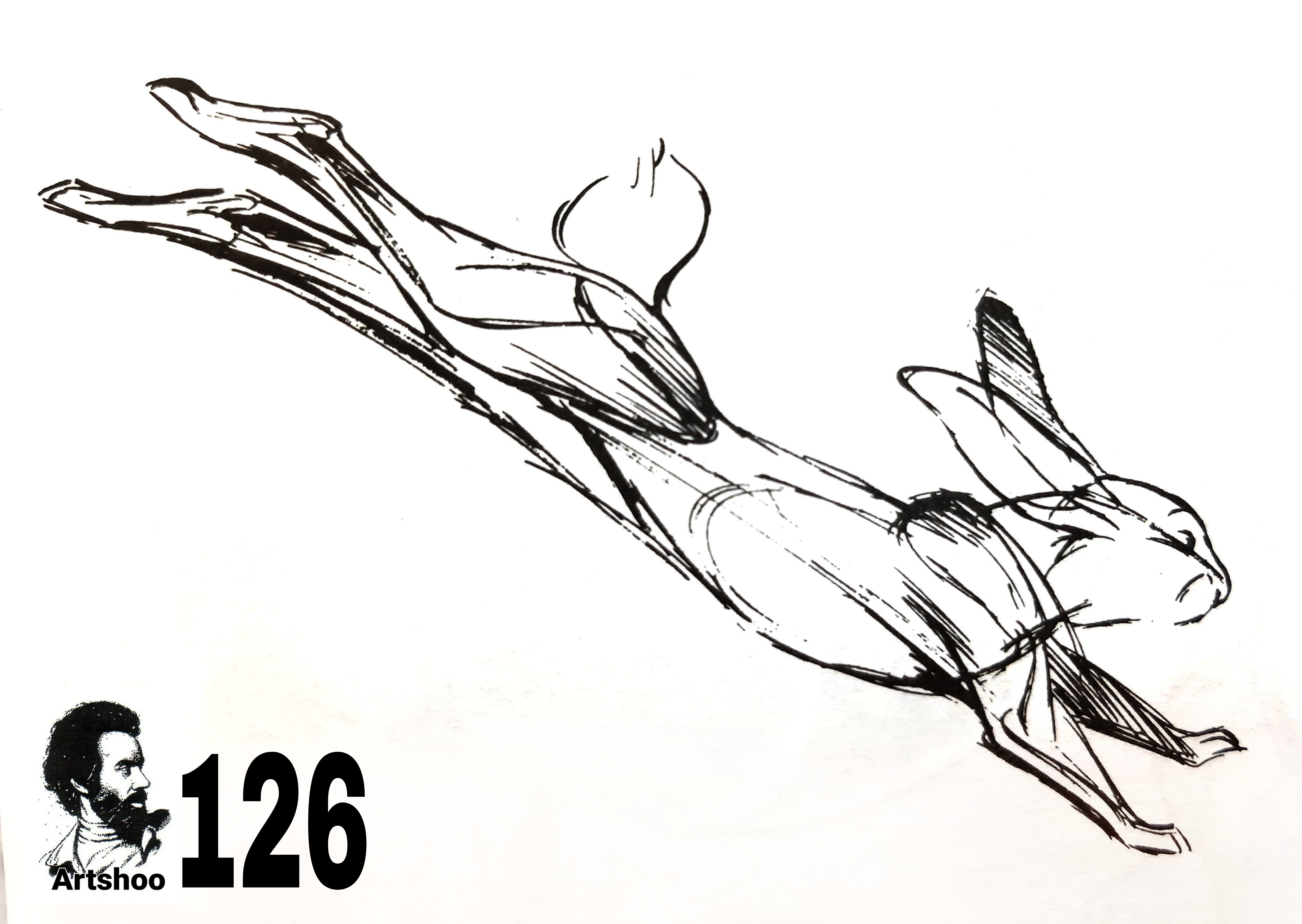 آموزش نقاشی سیاه قلم شهرری