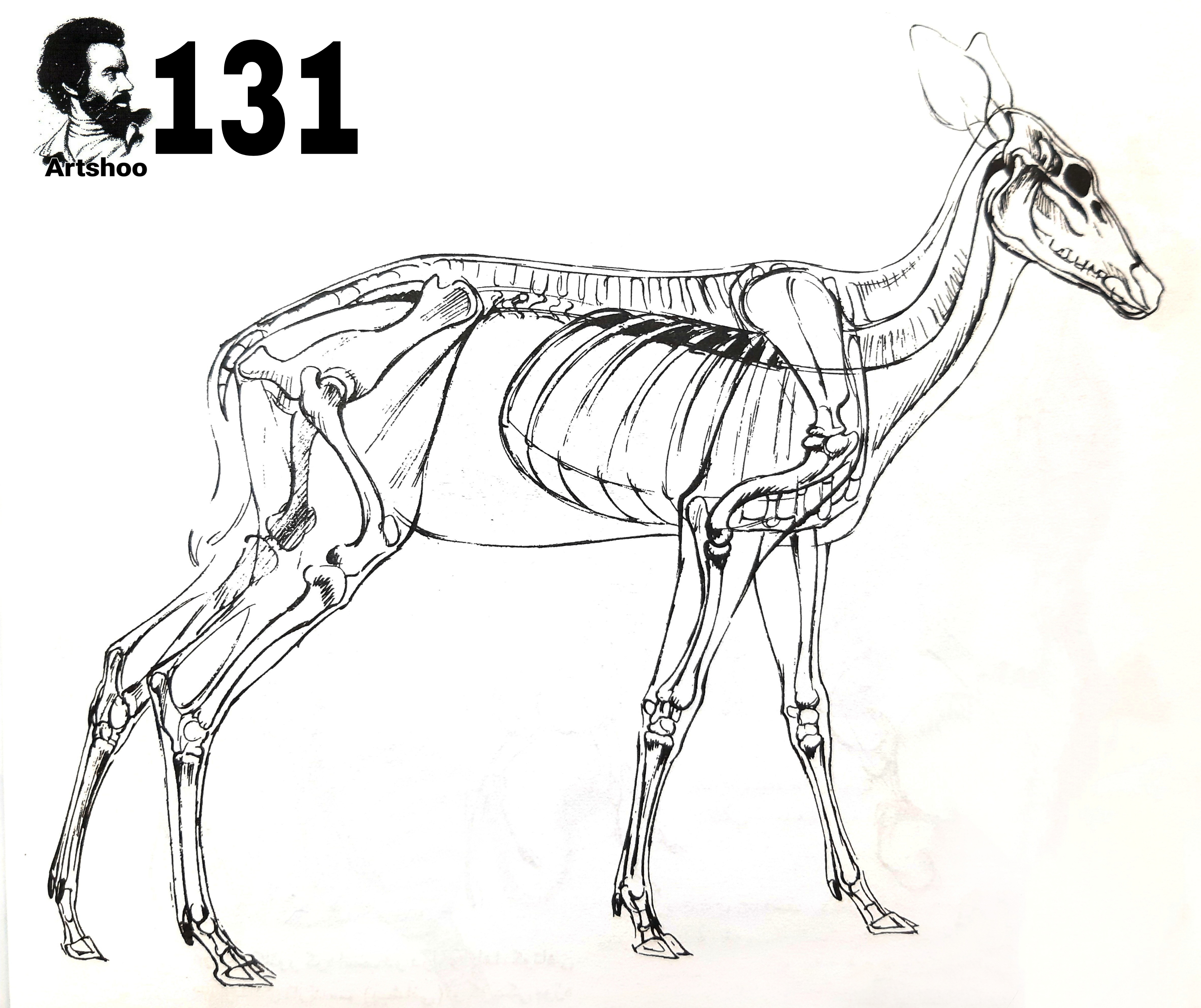 آموزش نقاشی سیاه قلم شهرری