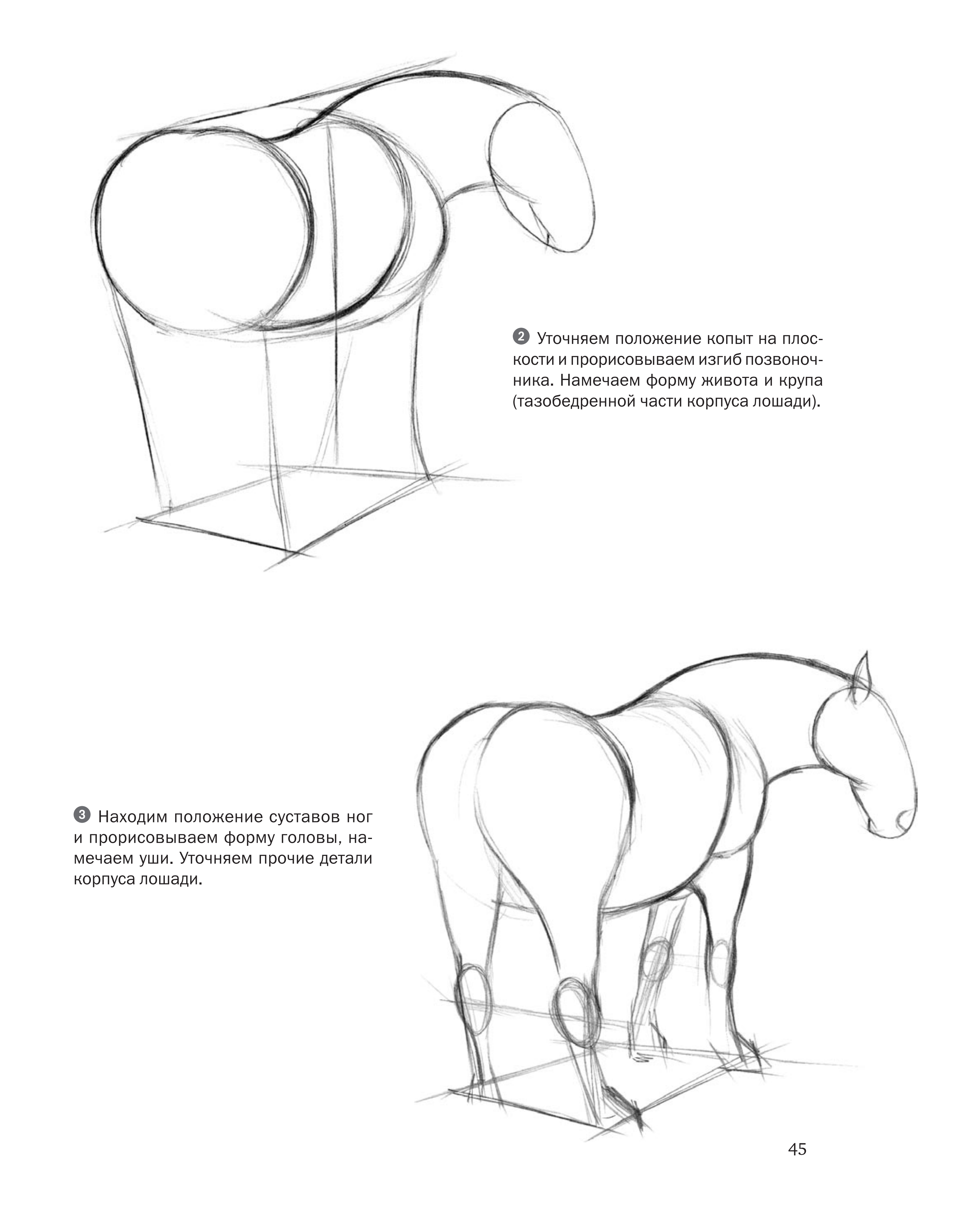 آموزش نقاشی طراحی سیاه قلم شهرری