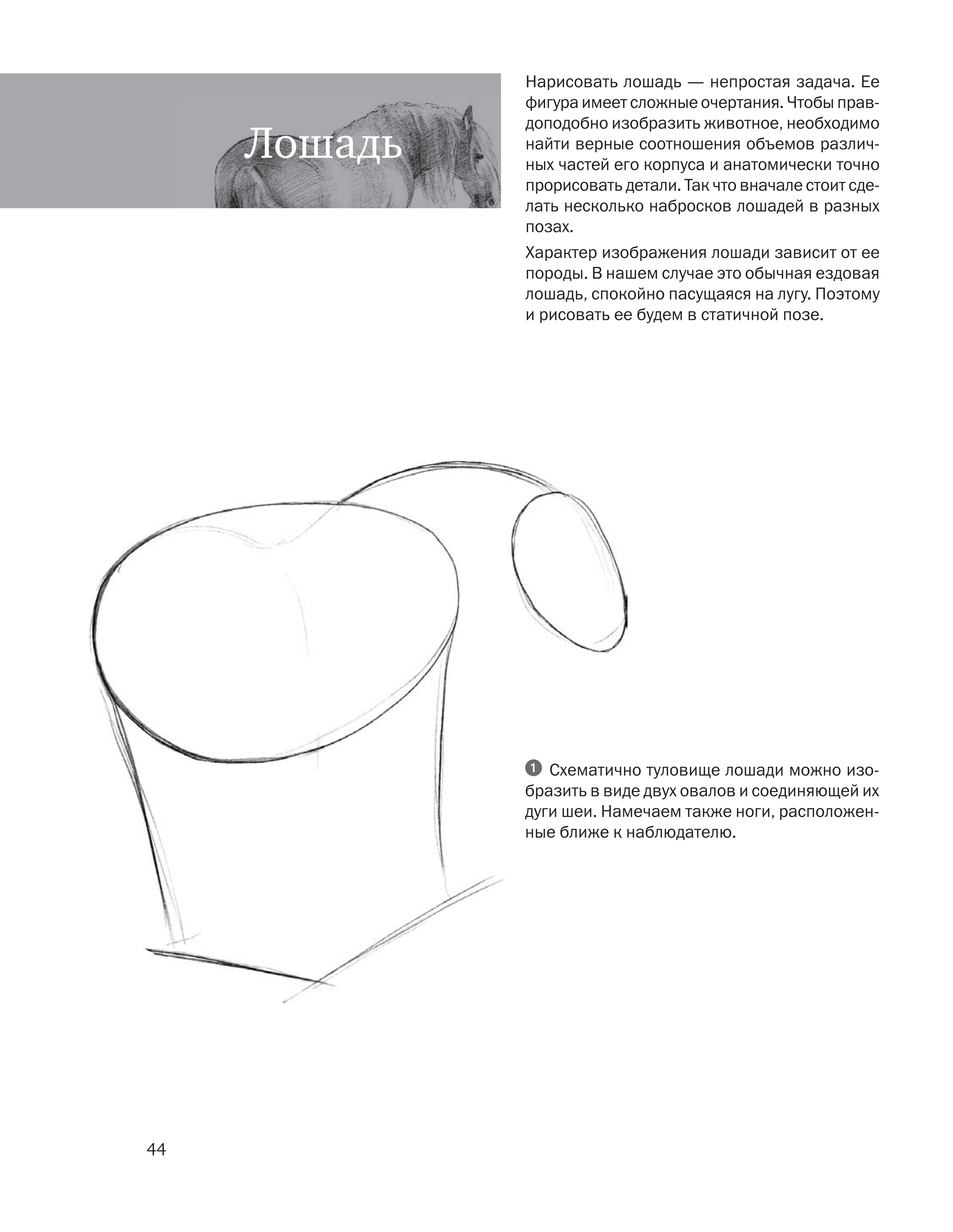 آموزش نقاشی طراحی سیاه قلم شهرری