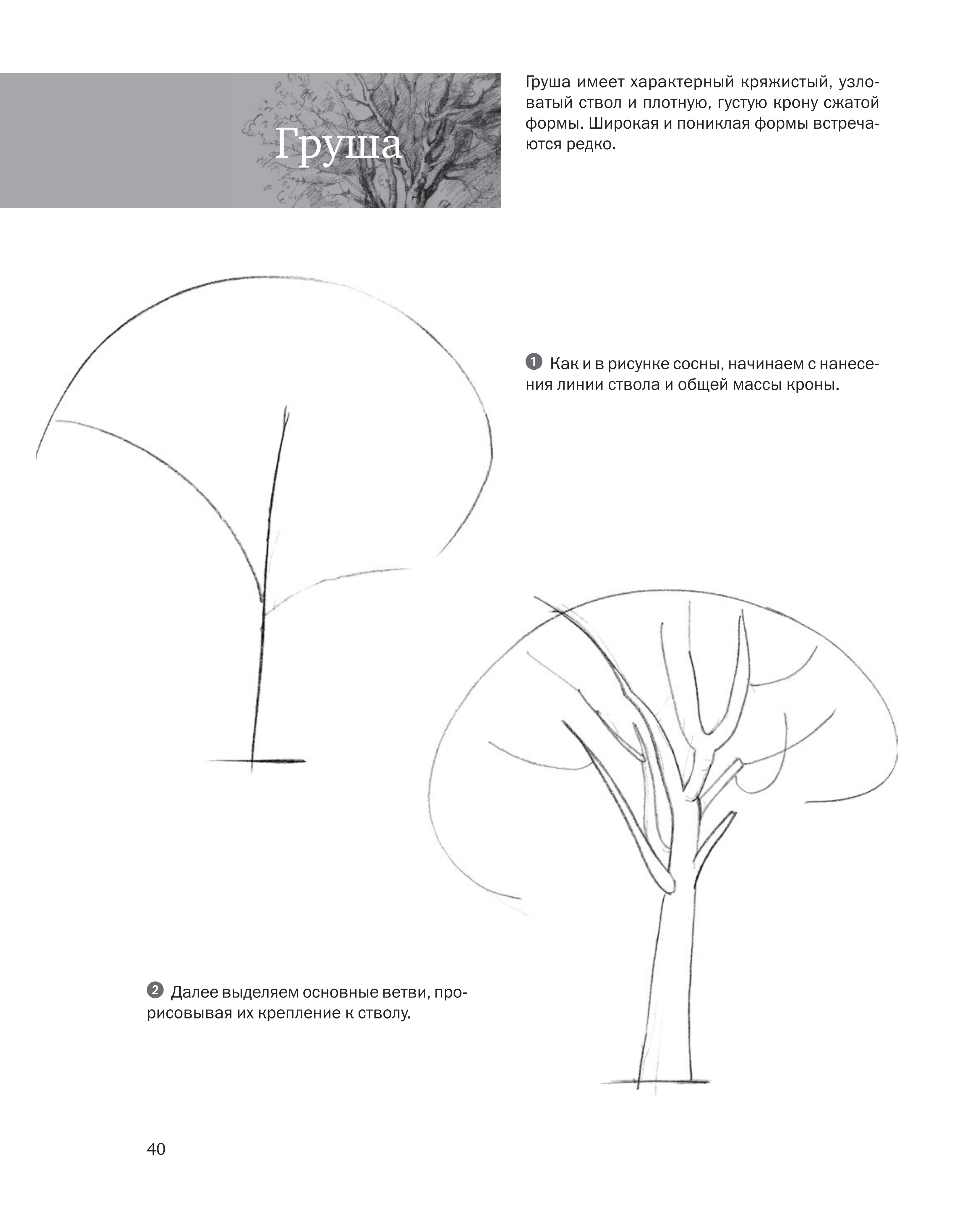 آموزش نقاشی طراحی سیاه قلم شهرری