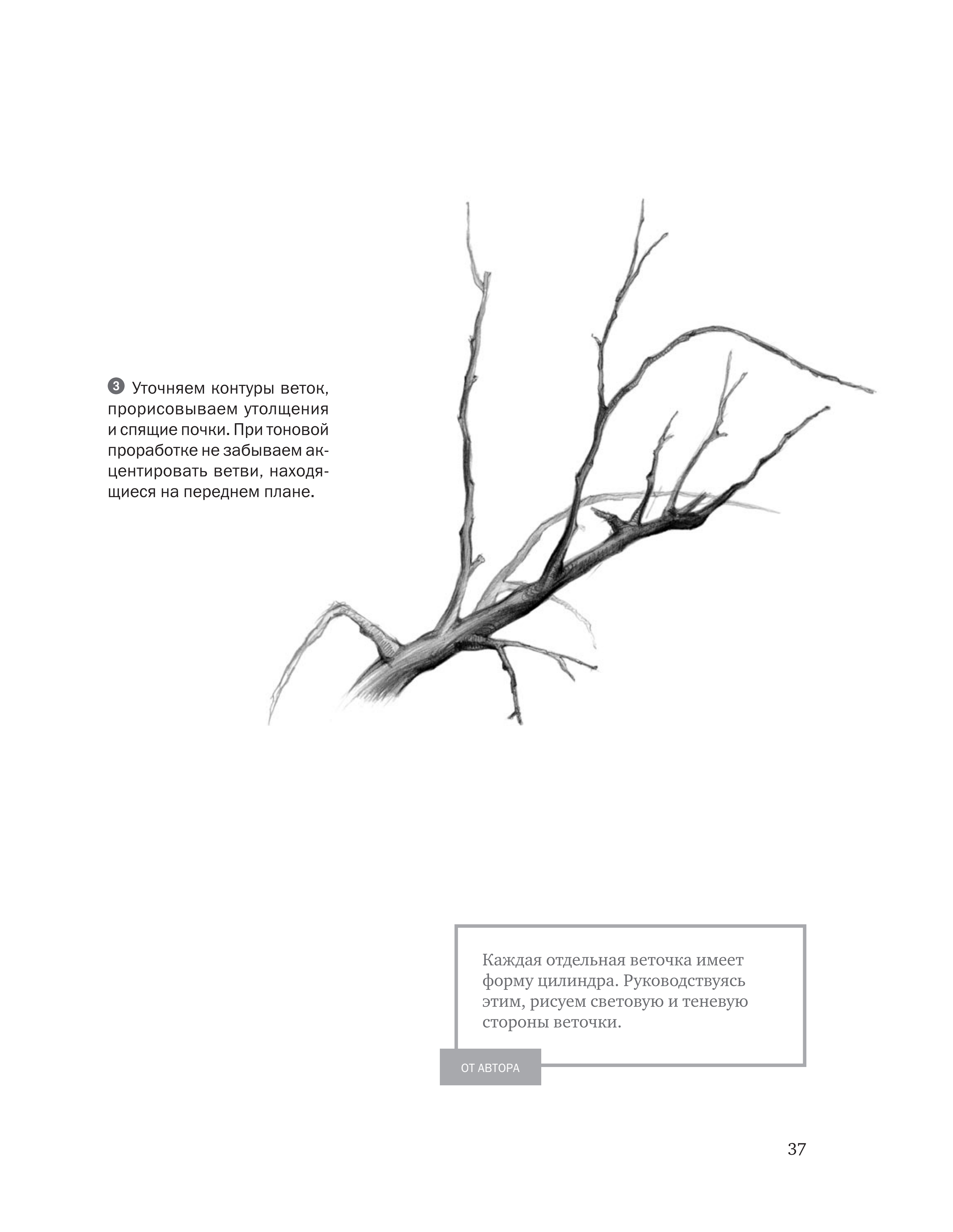 آموزش نقاشی طراحی سیاه قلم شهرری