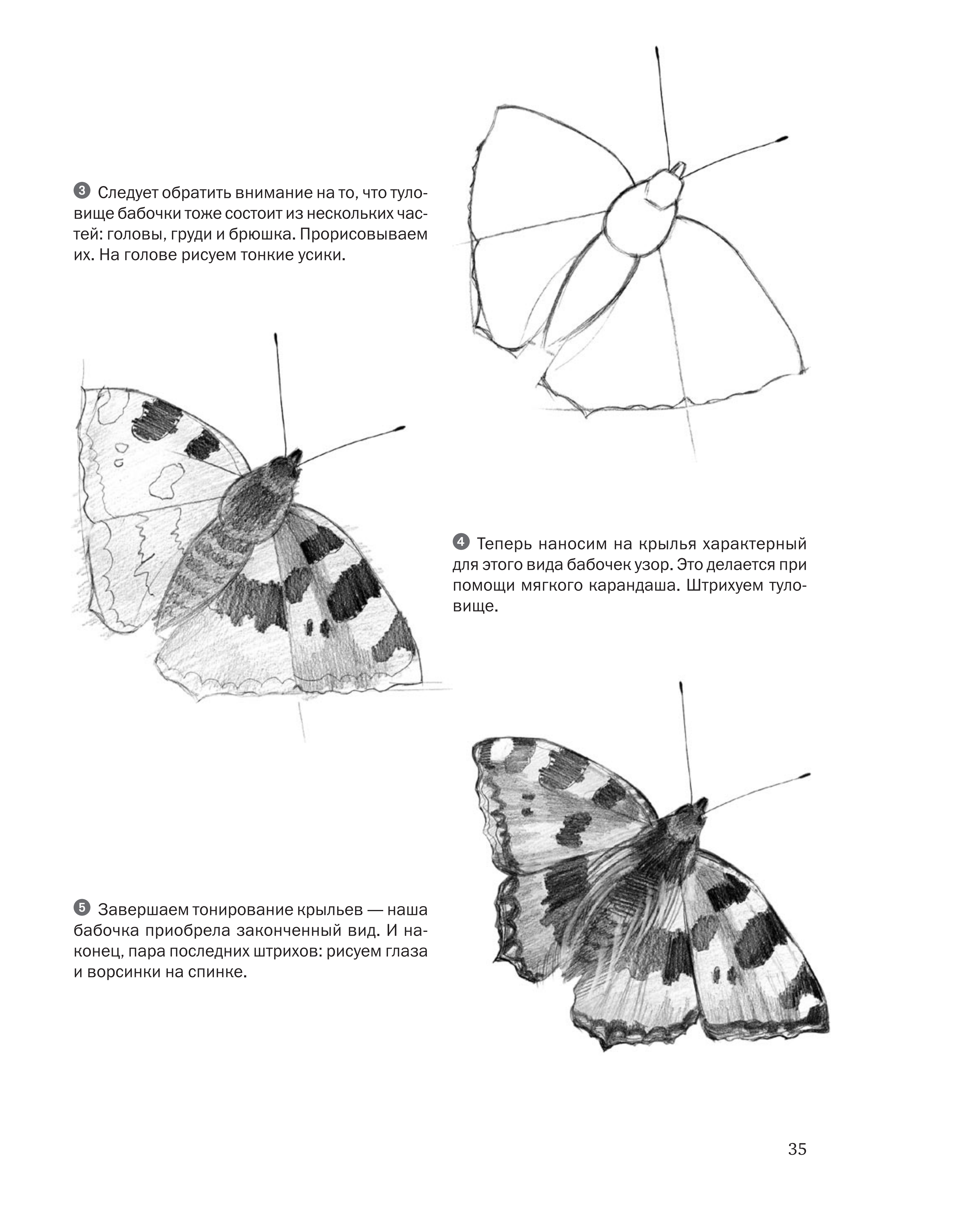 آموزش نقاشی طراحی سیاه قلم شهرری