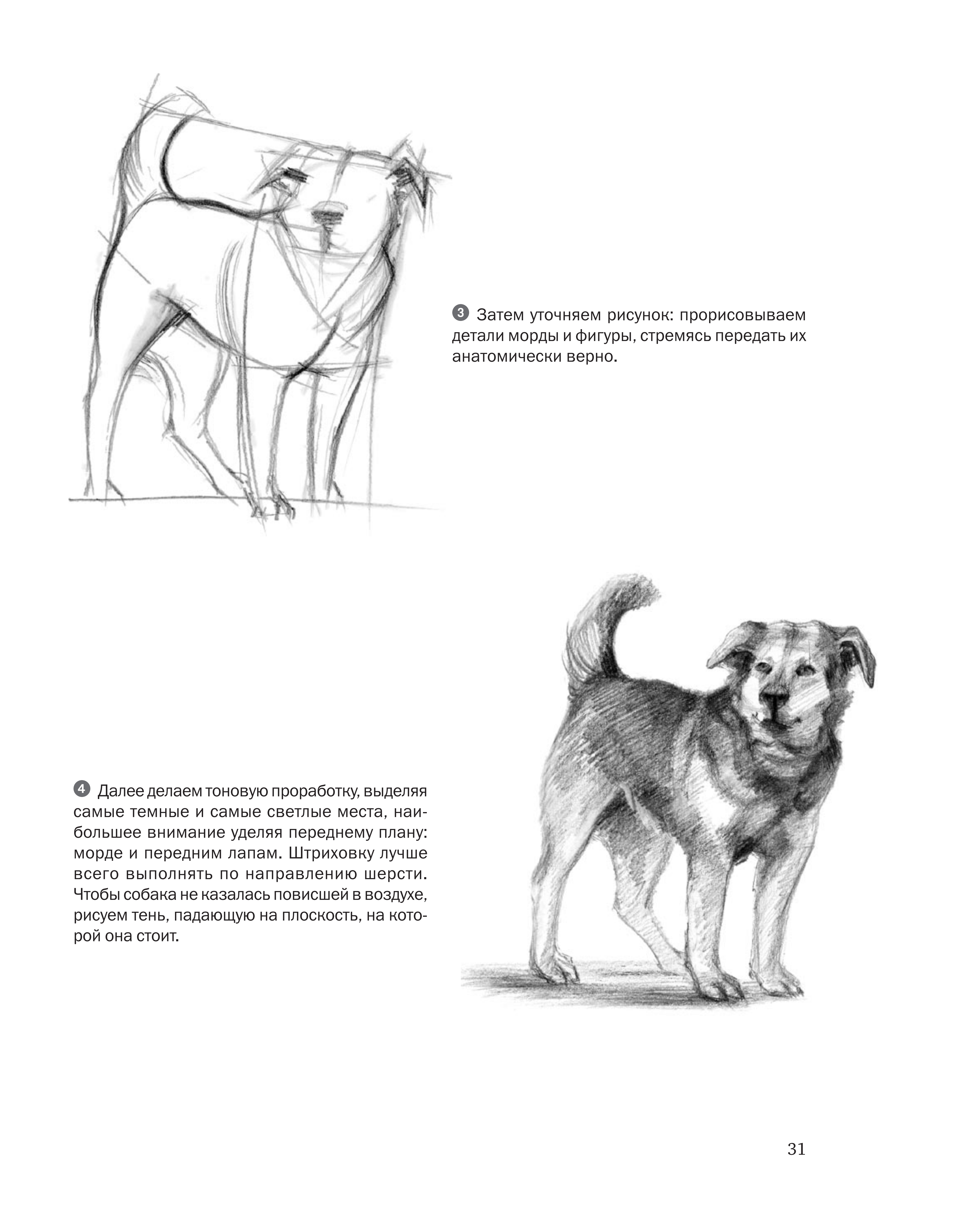 آموزش نقاشی طراحی سیاه قلم شهرری