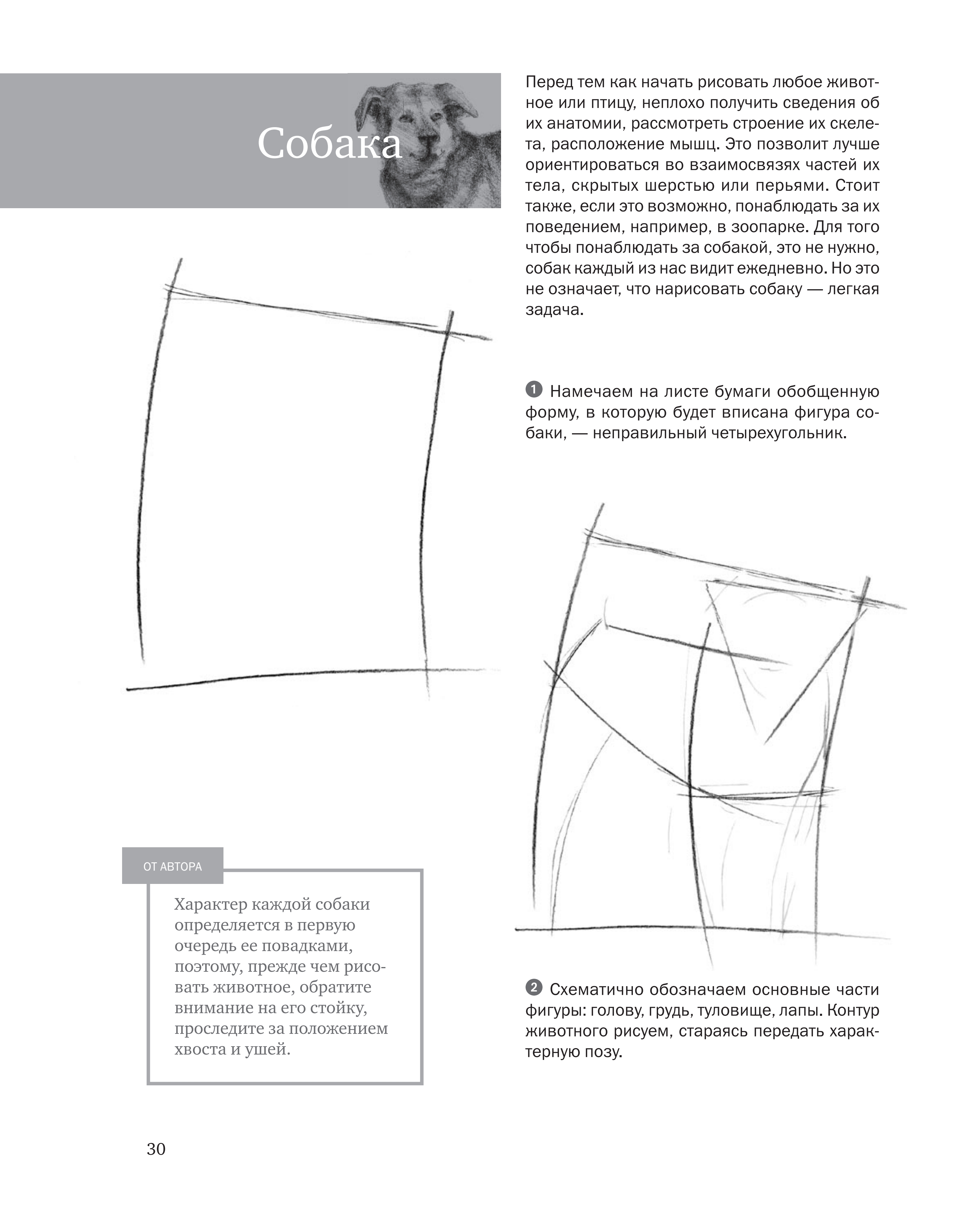 آموزش نقاشی طراحی سیاه قلم شهرری