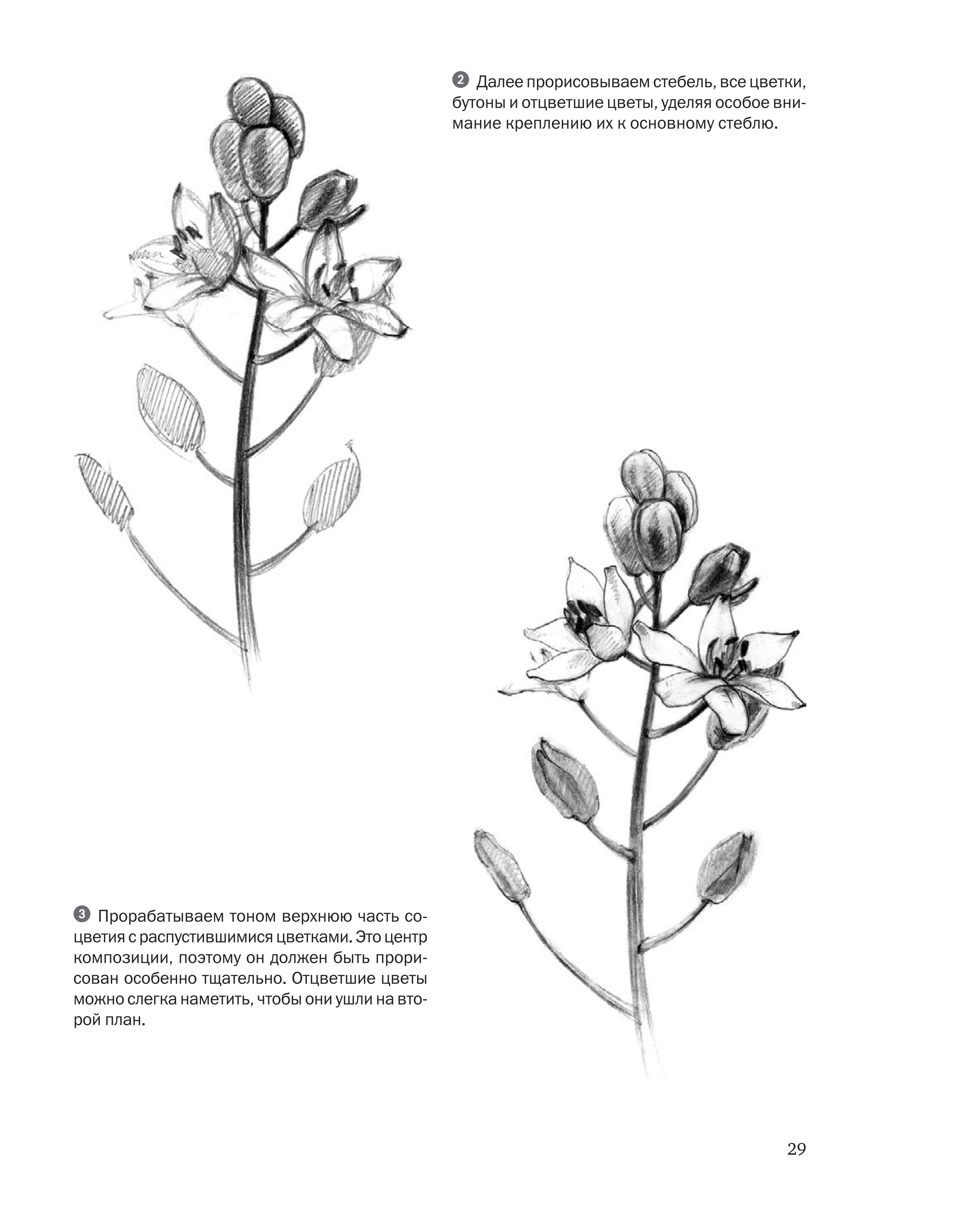 آموزش نقاشی طراحی سیاه قلم شهرری