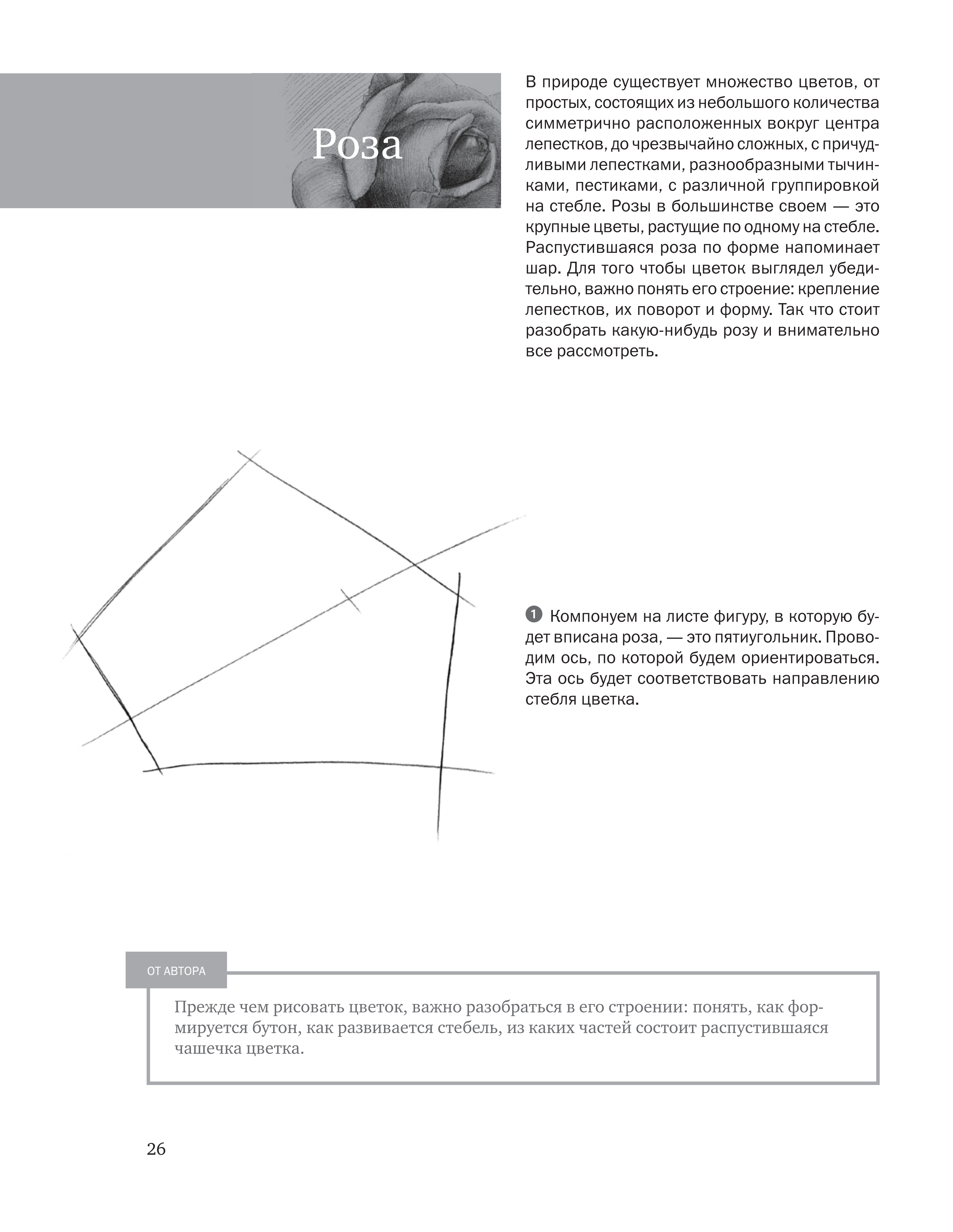 آموزش نقاشی طراحی سیاه قلم شهرری